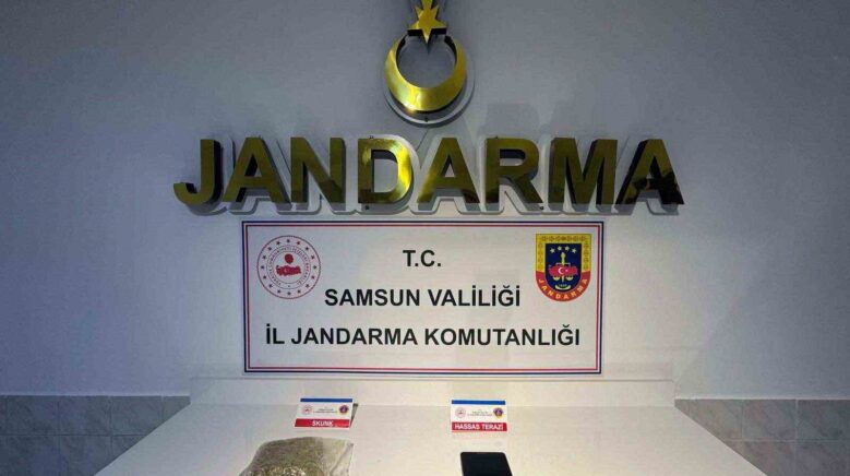 jandarmadan 2 ayri uyusturucu operasyonu 2 gozalti 8xmeSjIL