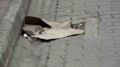 kanalizasyon kokusuna karadeniz usulu cozum 1V7dH54C