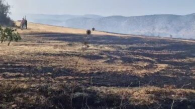 karabukte cikan aniz yangini kontrol altina alindi VHf5Vyu1