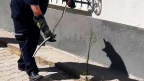 karabukte dogalgaz kutusuna giren yilan yakalandi lCPL2GTJ