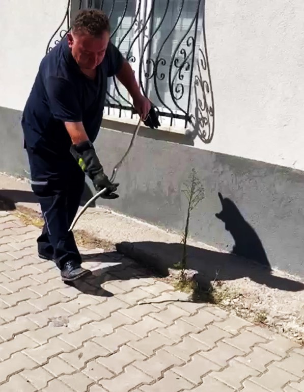 karabukte dogalgaz kutusuna giren yilan yakalandi lCPL2GTJ