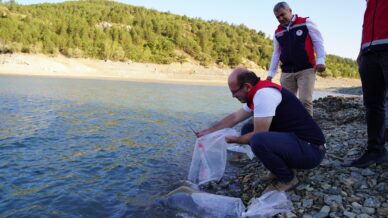 kastamonuda baraj ve goletlere 656 bin yavru sazan baligi salindi Ja1VuMnG