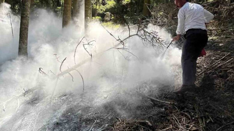 kastamonuda cikan orman yangini buyumeden sonduruldu jgIUs2QV