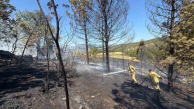 kastamonuda ormanlik alanda cikan yanginda samanlik kumes ve baraka kullanilamaz hale geldi 4Zj4r8aW