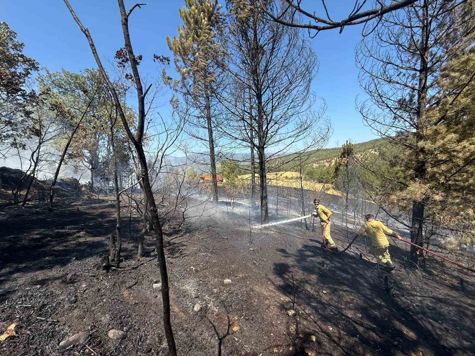 kastamonuda ormanlik alanda cikan yanginda samanlik kumes ve baraka kullanilamaz hale geldi 4Zj4r8aW