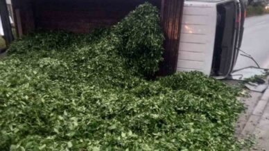 kaza sonrasi yola sacilan kamyon kasasindaki 10 ton cayi boyle temizlediler 55iEvHv3