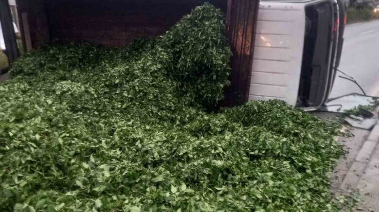 kaza sonrasi yola sacilan kamyon kasasindaki 10 ton cayi boyle temizlediler 55iEvHv3