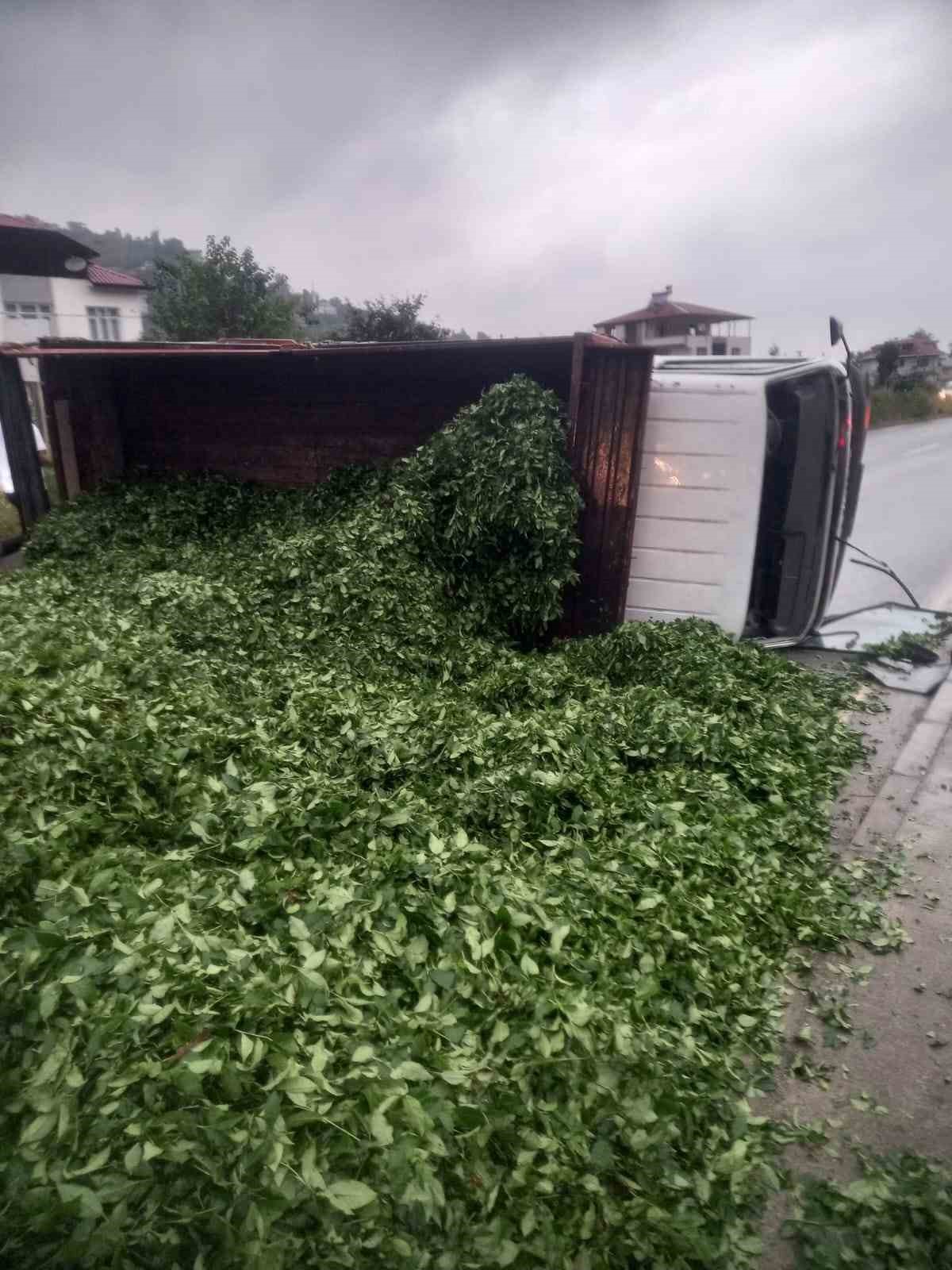 kaza sonrasi yola sacilan kamyon kasasindaki 10 ton cayi boyle temizlediler 55iEvHv3