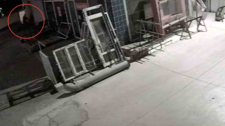 kopegi once araciyla ezmeye calisti ardindan tufekle vurarak felc birakti JY5yDpqj