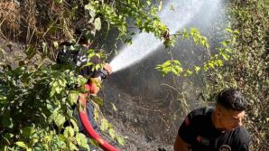 kozluda aniz yangini buyumeden sonduruldu 4cAfYrsM