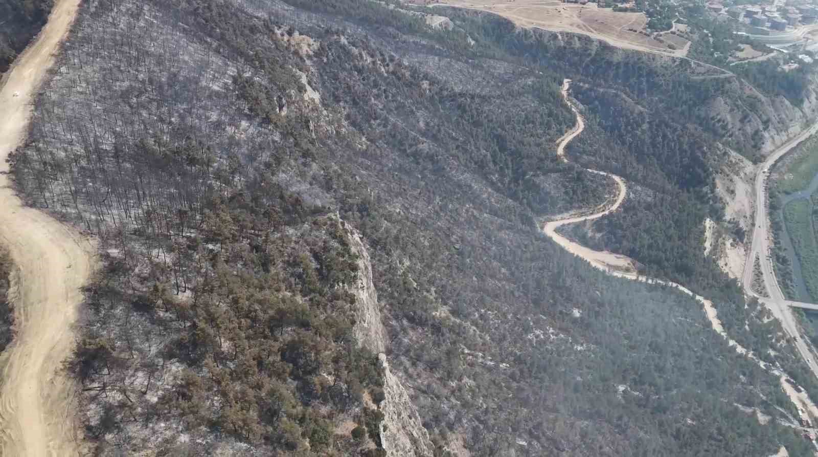 orman yangininda zarar goren alanlar dronla goruntulendi 3sUfLMCZ
