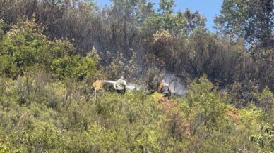 ormanlik alanda cikan yangin 2 saatte sonduruldu FU8daQK2