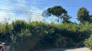 ormanlik alanda cikan yangin korkuttu lQLl6F3U