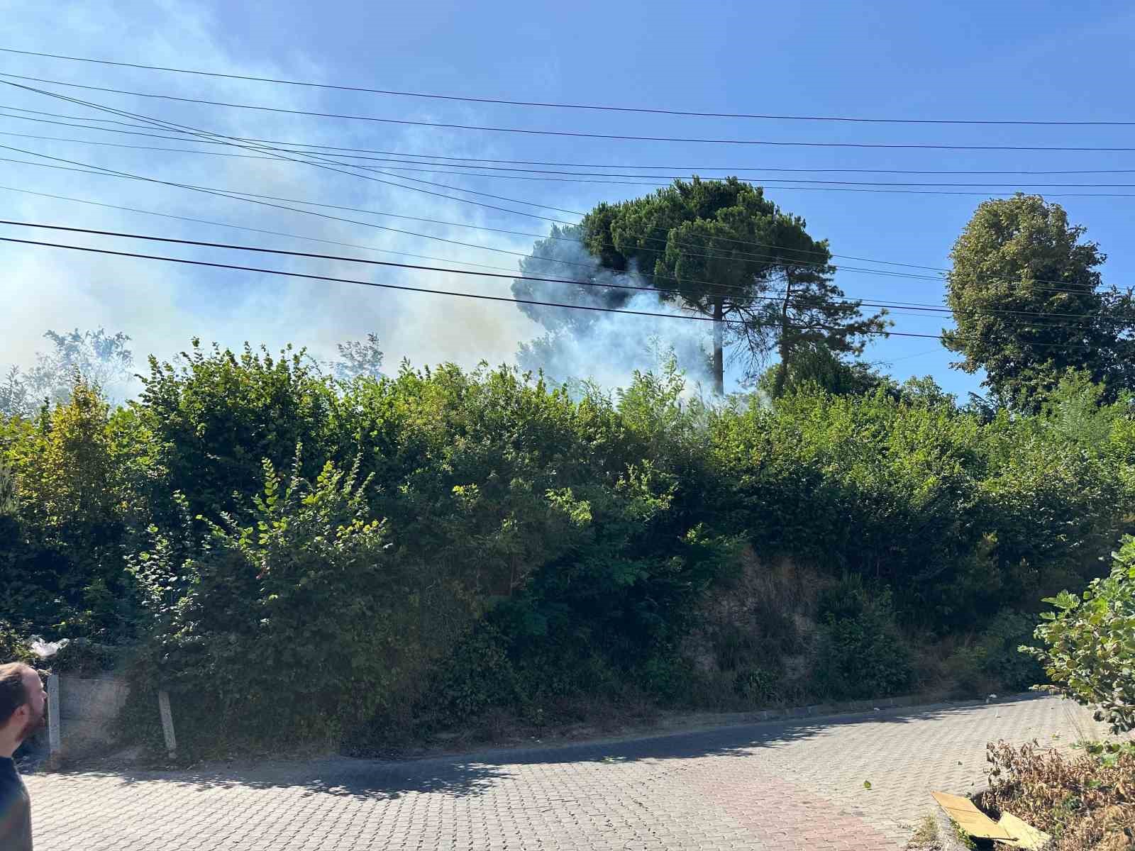 ormanlik alanda cikan yangin korkuttu lQLl6F3U