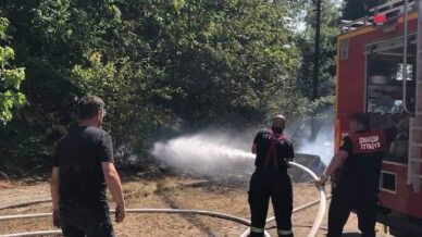 ormanlik alanda yangin Pn8xfR6r