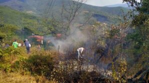 otluk alanda cikan yangin evlere ve ormanlik alana sicramadan sonduruldu mI7MpsBJ