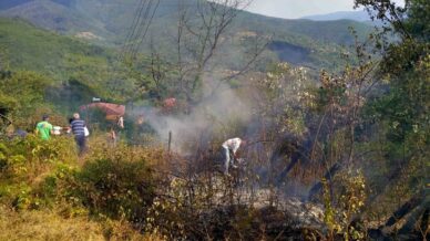 otluk alanda cikan yangin evlere ve ormanlik alana sicramadan sonduruldu mI7MpsBJ