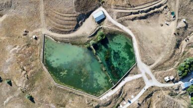 romanin 2 bin yillik mirasi sadak koyune hayat veriyor W63DDwXO