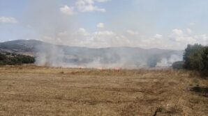 samsunda aniz yangini ormana sicramadan sonduruldu J4aKQ1db