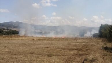 samsunda aniz yangini ormana sicramadan sonduruldu J4aKQ1db