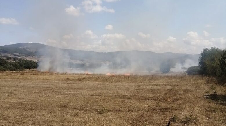 samsunda aniz yangini ormana sicramadan sonduruldu J4aKQ1db