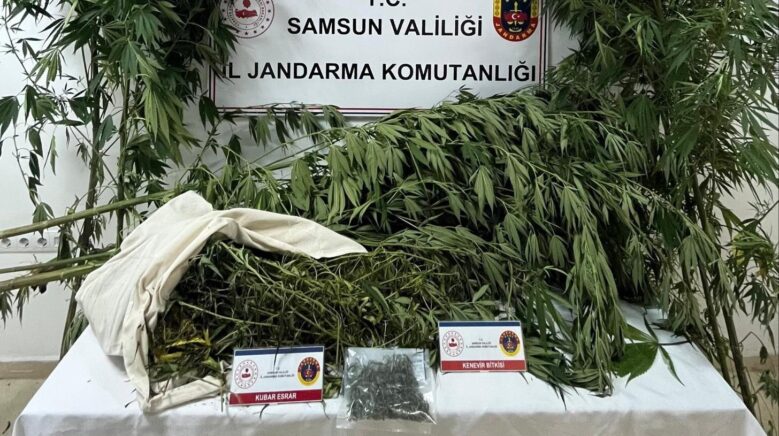 samsunda jandarma kenevir ve kubar esrar ele gecirdi OSZLTHwV