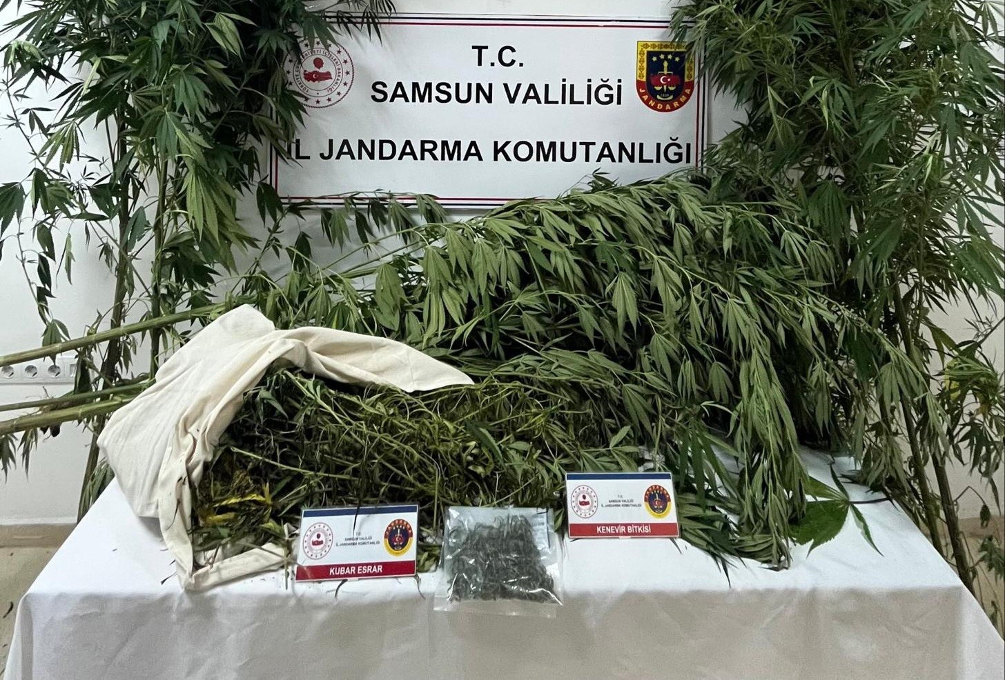 samsunda jandarma kenevir ve kubar esrar ele gecirdi OSZLTHwV
