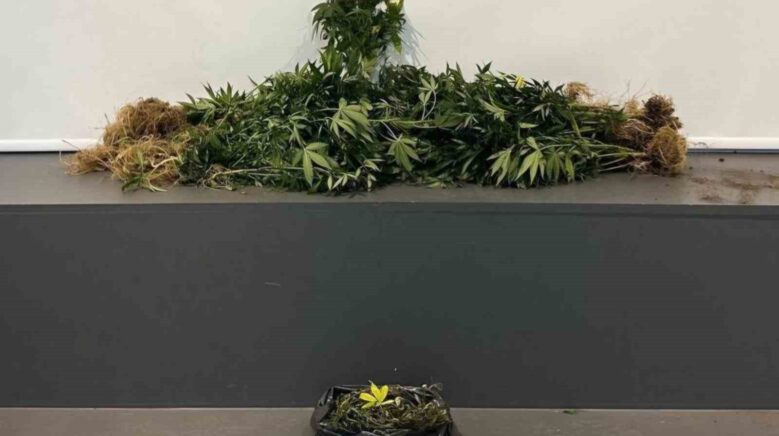 samsunda uyusturucu operasyonu 10 kisi yakalandi Guk99xJK