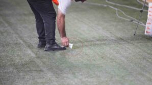 samsunspor panathinaikos macinda statta peygamberdevesi goruldu R3cLCgpn