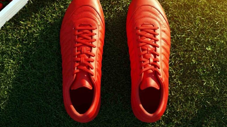 samsunsporun kalesi polonyali eldivene emanet w7mvurJl