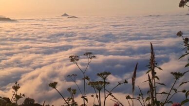 seyrine doyum olmayan bulut denizi gorenleri kendine hayran birakiyor N11fbCkY