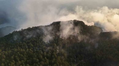 sinoptaki orman yangini kontrol altina alindi sogutma calismalari suruyor FfVWfAvf