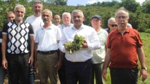 soydan ureticiler kontrollu hareket ederse findik fiyatlari taban fiyatin uzerine cikar DLcKPW1a