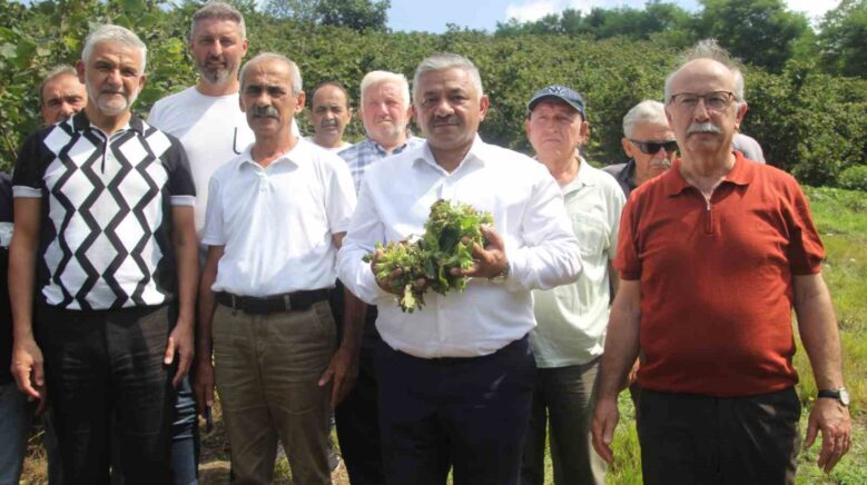 soydan ureticiler kontrollu hareket ederse findik fiyatlari taban fiyatin uzerine cikar DLcKPW1a