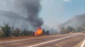 tarlada cikan yangin samanligi kule cevirdi JFstbBL8