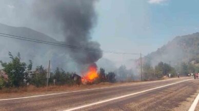 tarlada cikan yangin samanligi kule cevirdi JFstbBL8