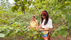 trabzonda cografi isaretli arsin fosa findiginin hasadi basladi yTrKDIip