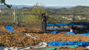 turkoglu ureticinin emegini yok saymayin DpwpjcSP