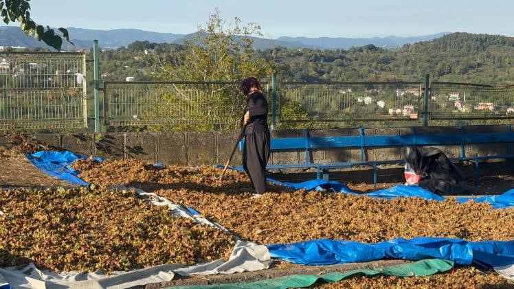 turkoglu ureticinin emegini yok saymayin QtJzwJSf