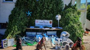 uyusturucu yetistirene buyuk darbe c444ETgW