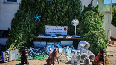 uyusturucu yetistirene buyuk darbe c444ETgW