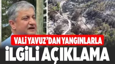 vali yavuz