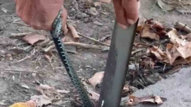 vatandastan yilan kurtarma operasyonu 9WZtMV93