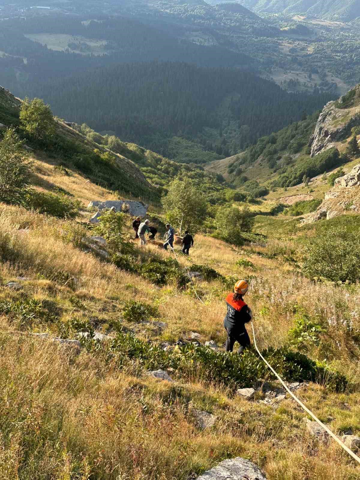 yamactan duserek mahsur kalan inek afad ekiplerince kurtarildi QaIibFEa