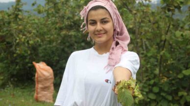 yesil altin findikta hasat basladi 9CUPNeBn