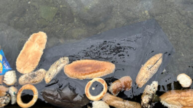 yuzlerce ekmek simit ve misir ekmegini denize doktuler 3rwbNqI4