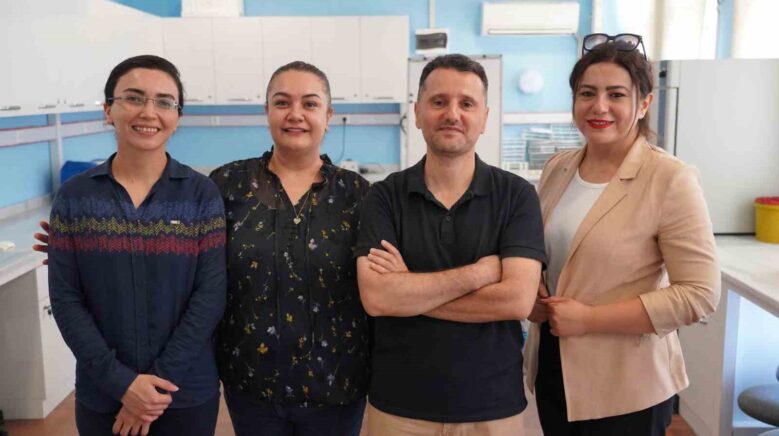 zeytin yapraginda bulunan guclu antioksidan ile bobrek hasarini onlemeyi hedefliyorlar mbYMlwFS