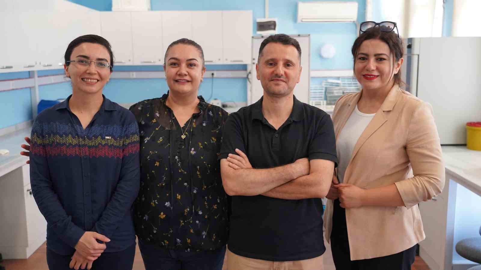 zeytin yapraginda bulunan guclu antioksidan ile bobrek hasarini onlemeyi hedefliyorlar mbYMlwFS