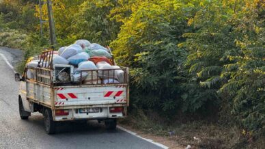 zonguldakta findik hasinda koyluler findik toplayicilarin gurultusunden sikayetci wJ5kW5c4