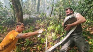 zonguldaktaki orman yangini kontrol altina alindi xcUYKK6n